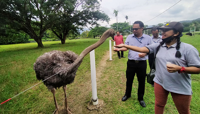 Jelita Ostrich Farm
