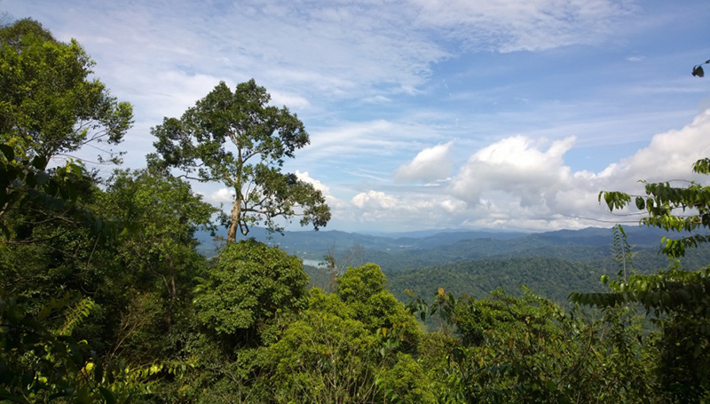 Mount Angsi Trailhead