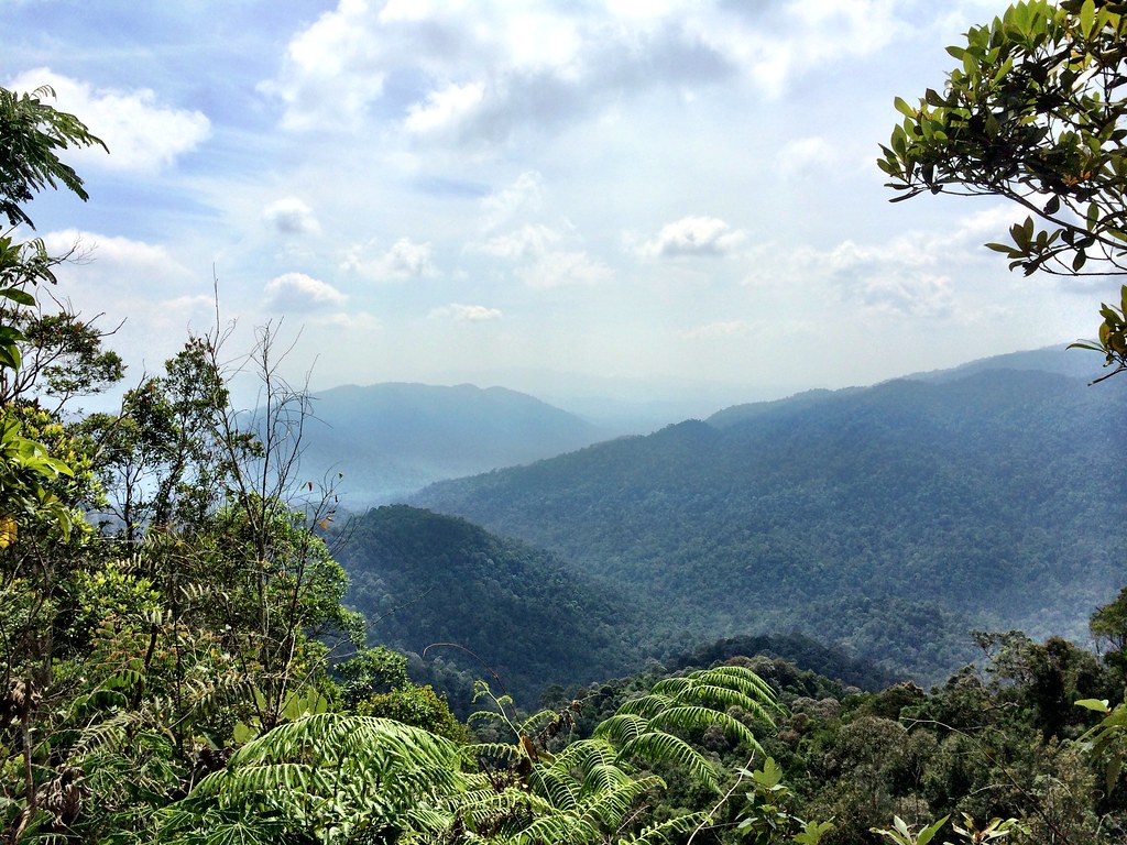 Mount Telapak Buruk