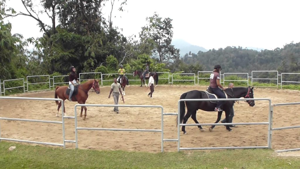 A.S. Equine & Homestay Rawa
